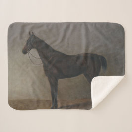 ベイギャルドホース（Albrecht Adam著） シェルパブランケット