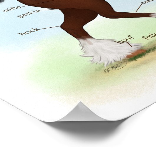 ベイクライデール荷車を引く馬の解剖学のポスター ポスター (角)