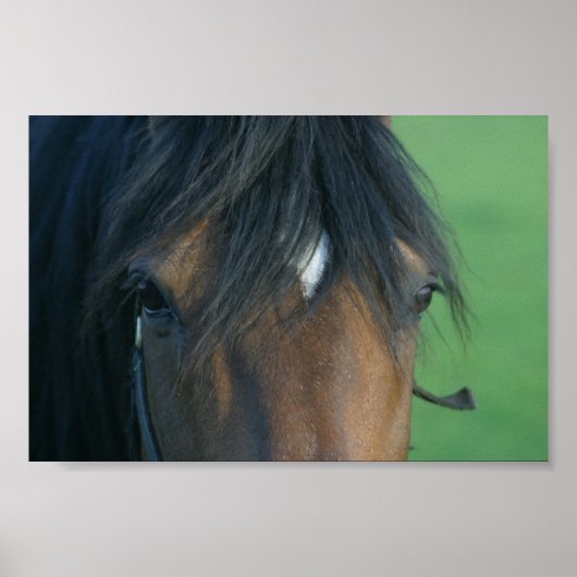 ベイクローズアップ ポスター (正面)