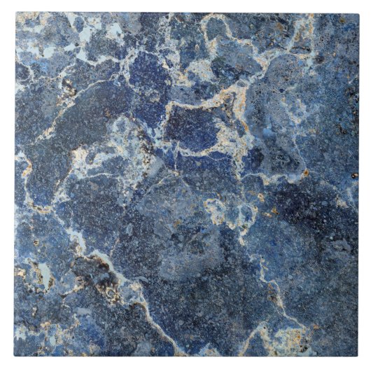 ベイグレーブラックマーブルベージュベージュ静脈 タイル (正面)