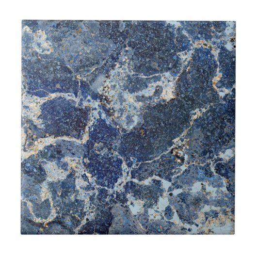 ベイグレーブラックマーブルベージュベージュ静脈 タイル (正面)