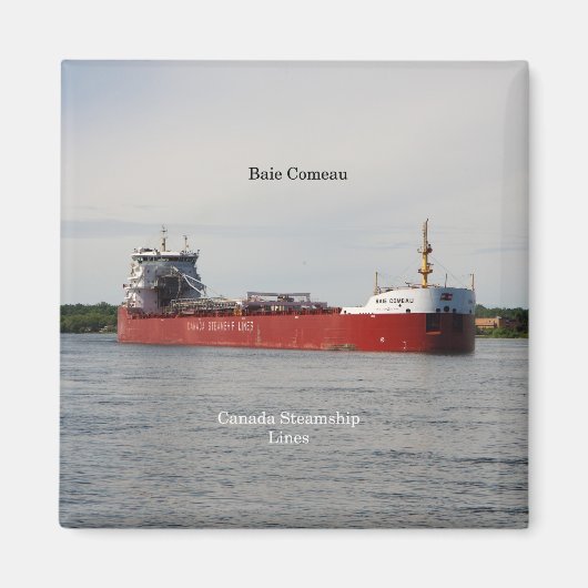 ベイコモー磁石 マグネット (正面)