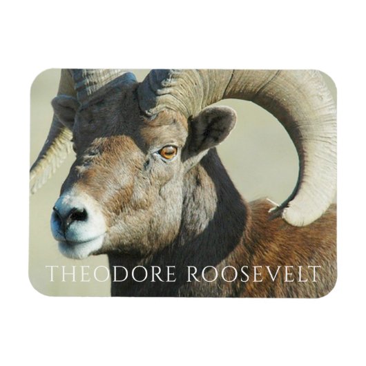 ベイコーンラムatセオドアRoosevelt国立公園 マグネット (横)
