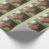 ベイシャーホ荷車を引くース顔 ラッピングペーパー (角)