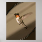 ベイジャフロル ポスター (正面)