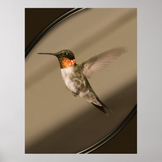 ベイジャフロル ポスター (正面)