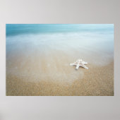 ベイダイエシースケープ ポスター (正面)