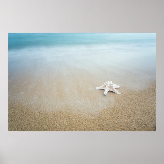 ベイダイエシースケープ ポスター (正面)