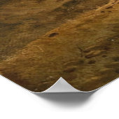 ベイツェルアムゼー – Emil Barbarbarini ポスター (角)