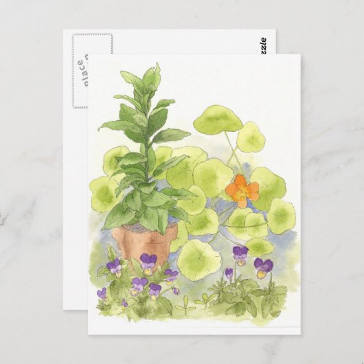 ベイツリーナスタリウムハーブガーデンウォーターカラー ポストカード (正面/裏面)