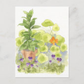 ベイツリーナスタリウムハーブガーデンウォーターカラー ポストカード (正面)