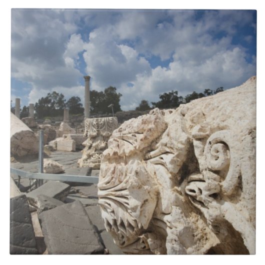 ベイトシーアン国立公園ローマ時代の遺跡 タイル (正面)