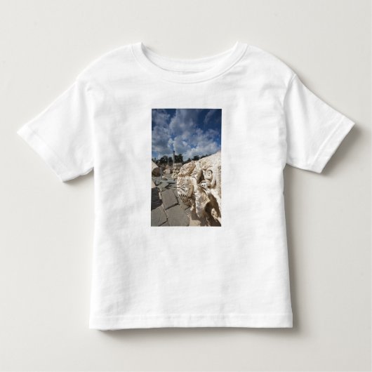ベイトシーアン国立公園ローマ時代の遺跡 トドラーTシャツ (正面)