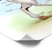 ベイトビアーノピント馬馬馬術ポスター ポスター (角)