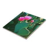 ベイバーテイルサボテンの花 タイル (側面)