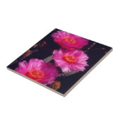 ベイバーテイルサボテンの花 2 タイル (側面)