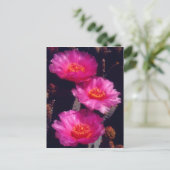 ベイバーテイルサボテンの花 2 ポストカード (スタンド正面)