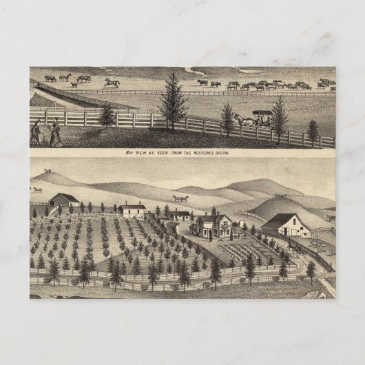 ベイビューアンドレジデンスJRバラ ポストカード (正面)