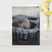 ベイビーエル カード (黄色い花)