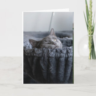 ベイビーエル カード