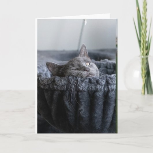 ベイビーエル カード (正面)