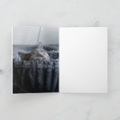 ベイビーエル カード (内部)