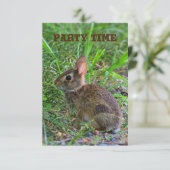 ベイビーバニー パーティー招待状 招待状 (スタンド正面)