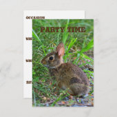 ベイビーバニー パーティー招待状 招待状 (正面/裏面)