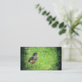 ベイビーロビン 名刺 (スタンド正面)