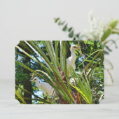 ベイビー・バーズ 招待状 (スタンド正面)