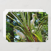 ベイビー・バーズ 招待状 (正面/裏面)