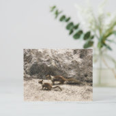 ベイビー & ママ リス ポストカード (スタンド正面)