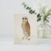 ベイフクロウはどうだ? ポストカード (スタンド正面)