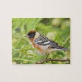 ベイブレストのウォーブラー(デンドロイカスタネア)大人 ジグソーパズル (横)