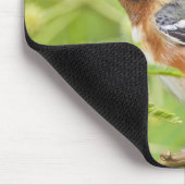 ベイブレストのウォーブラー(デンドロイカスタネア)大人 マウスパッド (コーナー)