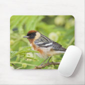 ベイブレストのウォーブラー(デンドロイカスタネア)大人 マウスパッド (マウス)