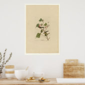 ベイブレストウォーブラー ポスター (キッチン)