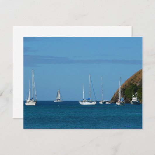 ベイホワイトとブルーの帆船航海の (正面/裏面)