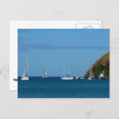 ベイホワイトとブルーの帆船航海の ポストカード (正面/裏面)