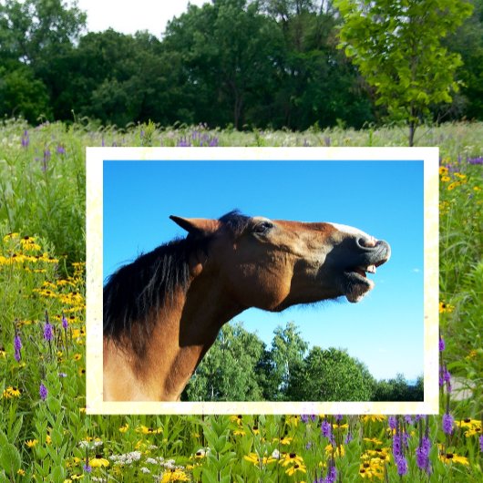 ベイホースが空中に泣き叫ぶ ポストカード