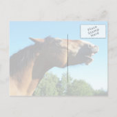 ベイホースが空中に泣き叫ぶ ポストカード (裏面)