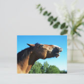 ベイホースが空中に泣き叫ぶ ポストカード (スタンド正面)