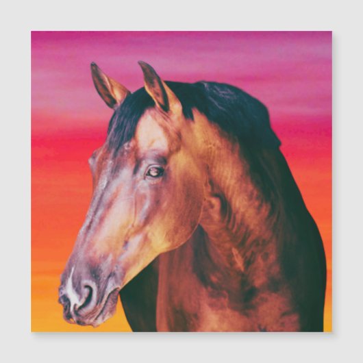 ベイホースのグラデーション (正面)