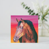 ベイホースのグラデーション (スタンド正面)