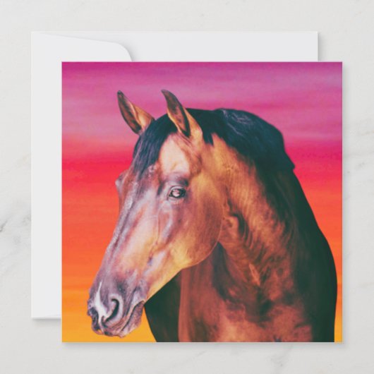 ベイホースのグラデーション (正面)