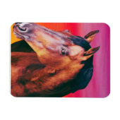 ベイホースのグラデーション マグネット (横)