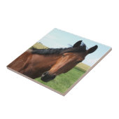 ベイホースの牧草地 タイル (側面)