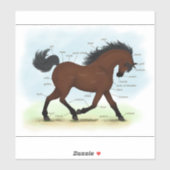 ベイホースまたはポニー馬術解剖図 シール (シート)