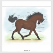 ベイホースまたはポニー馬術解剖図 シール (シート)