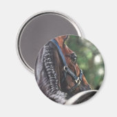 ベイホースサラブレッド温血ドレサージュジャンパー マグネット (正面/裏面)